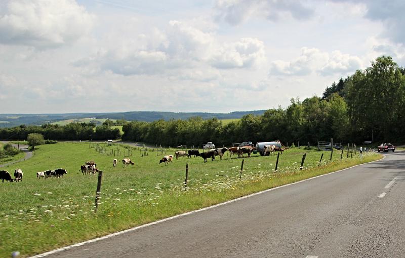 De Romantische Rein 6-8-2016 = dag 3 (40).JPG
